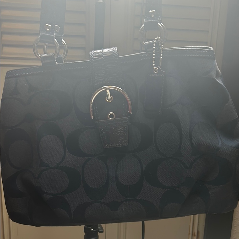 Coach Blue Signature Tote Bag